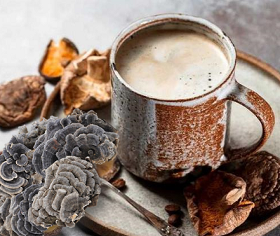 Turkiya dumi ekstrakti: Funktsional ichimliklar uchun eruvchanlik va barqarorlik