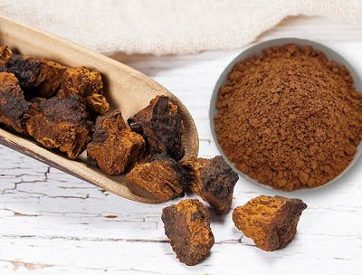 Chaga qo'ziqorini ekstrakti uchun ID testi: haqiqiylik va sifat