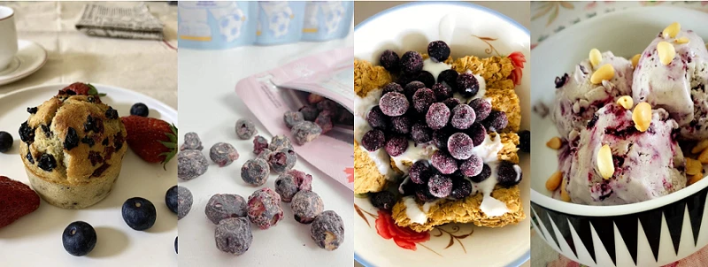 Freeze Dried Blueberry Pieces Application