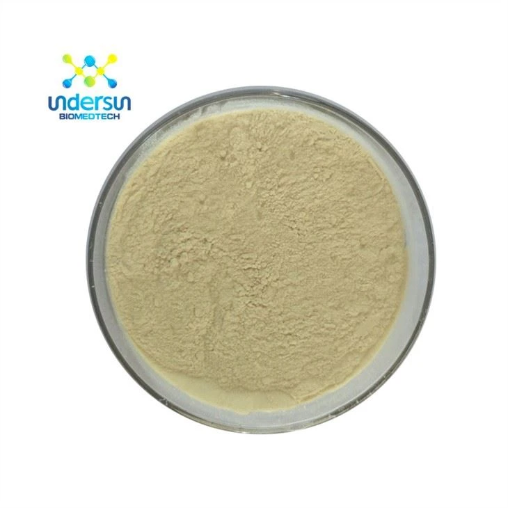 Panax Ginseng ekstrakti