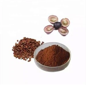 Uzum urug'i ekstrakti organik