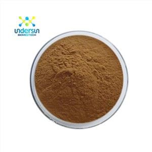 Anjelika ildizi ekstrakti