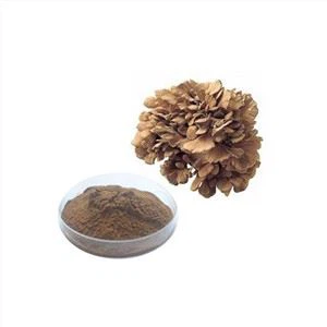 Polyporus Umbellatus