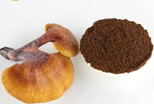 Reishi qo'ziqorin kukuni quyma