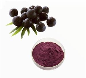 Elderberry meva ekstrakti