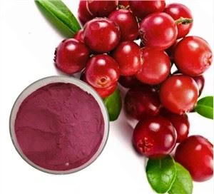 Quritilgan Lingonberry kukunini muzlatib qo'ying