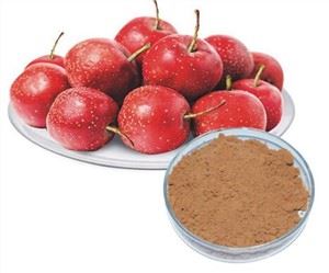Hawthorn Berry ekstrakti kukuni
