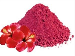 Gibiskus gullari kukuni