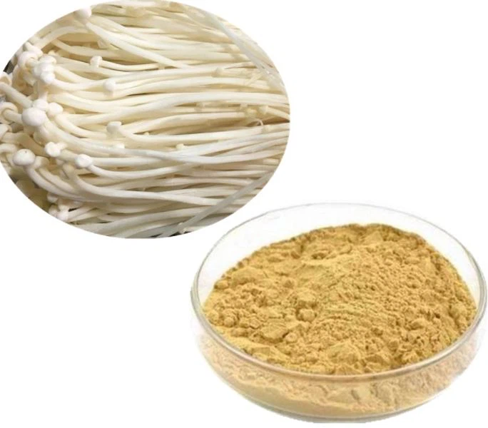 Enoki qo'ziqorin ekstrakti