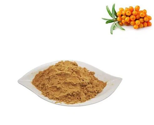Hippophae Rhamnoides dengiz shimoli meva ekstrakti