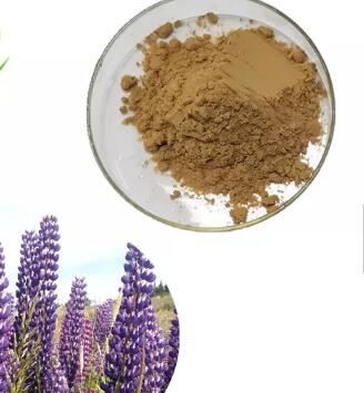 Lupinus Albus urug'i ekstrakti