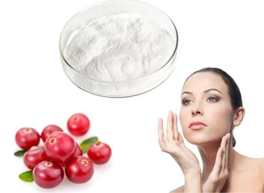 Organik Bearberry ekstrakti