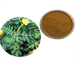 Arzon Tribulus Terrestris ekstrakti