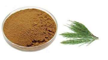 Horsetail: Foyda, foydalanish va yon ta'siri